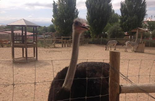 Apartamento Turistico Cigüeña de Arguedas - Foto 41