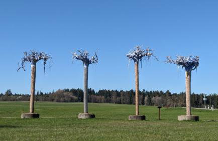 Wohlfühlmomente im Nordschwarzwald - Photo 14