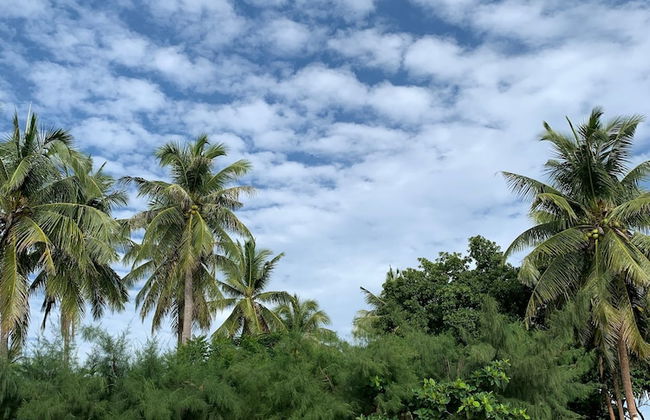 155 SalaCoco - Foto 63