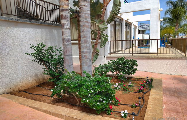 Maricosta Hotel Apartments - Foto 39