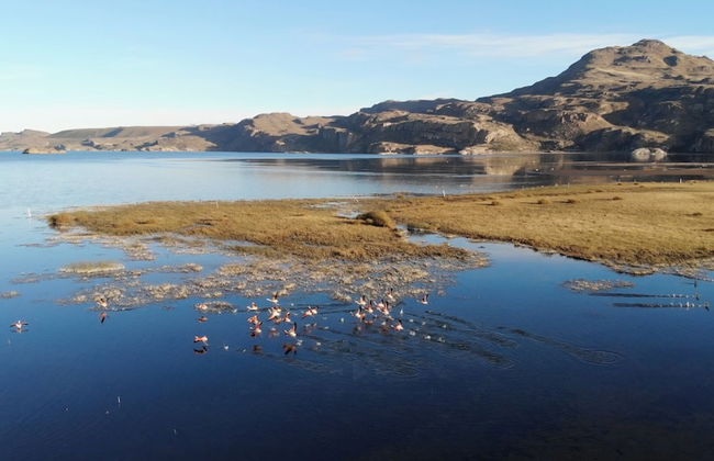 Patagonia Bordelago - Foto 8