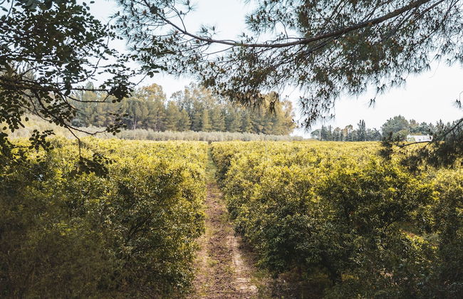 Borgo Valle Rita - Country Resort - Foto 23