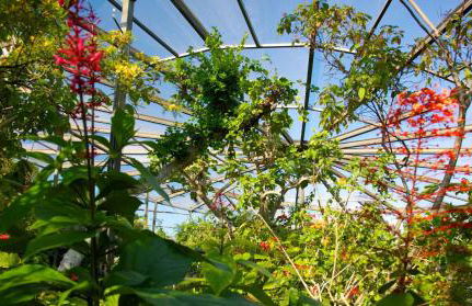 Villa#4 House in Pompano at 4 minutes from the beach! - Foto 38