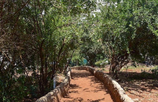 Olkeri chalete - Foto 15