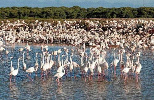 Apartamento junto a la playa 4p piscina y parking - Foto 27