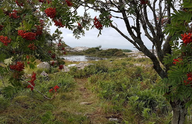 4 Star Holiday Home in Grebbestad-by Traum - Foto 20