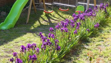 Bas de villa jardin plein sud proche mer clim-Wifi - Foto 4, Garden