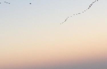 Morskie Opowieści - Foto 80