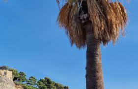 Le PORT MIOU près calanques de Cassis 2 chambres 6 personnes - Foto 23