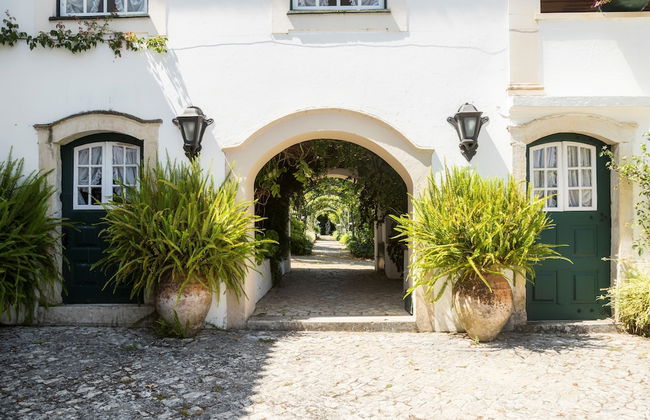 Quinta de São Lourenço - Foto 15