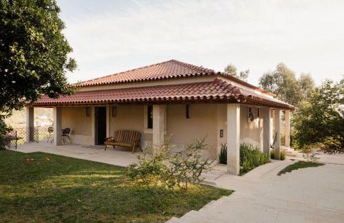 Vinte-Quinta da Boavista - Foto 127