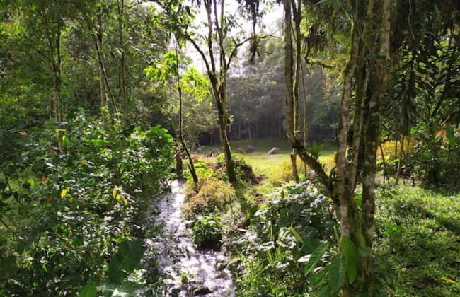 Mindo Eco chalet - Foto 51