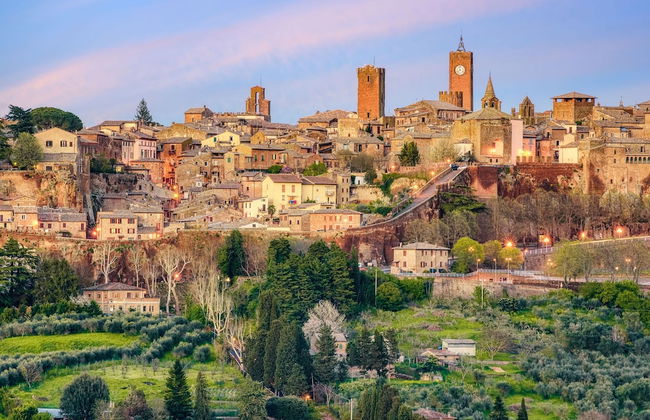 Chalet In Enchanted Forest Private Pool - Photo 23