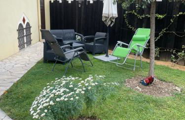 Les palmiers - Foto 12