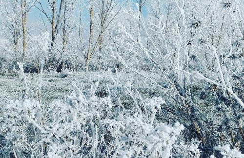 La Casa del Corro - Foto 36