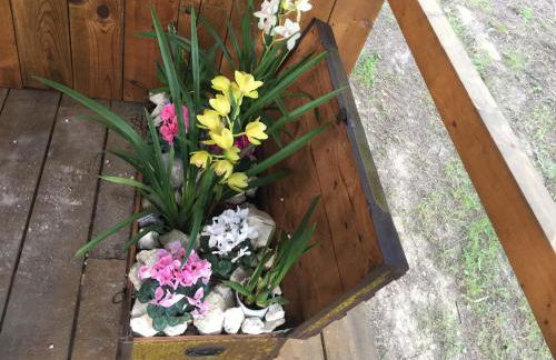 Quinta do Meco - Beach & Nature - Foto 22