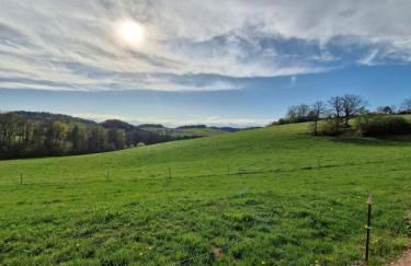 Gemütliche Chalets & Ferienhäuser mit Kamin und Sauna im bayrischen Wald - Foto 16