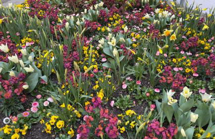 ROSMARIN - Kuschelige Fewo - Romantik & Entspannung im Whirlpool auf privater Terrasse, Ruhe & Hund willkommen - by FerienWohnenAmSee - - Foto 41
