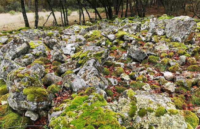 Casa Rural Mirador de los Tomillos - Foto 28