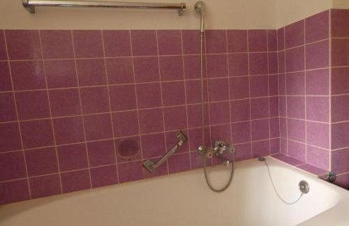 Weisses Huhn von Moschendorf - Photo 51