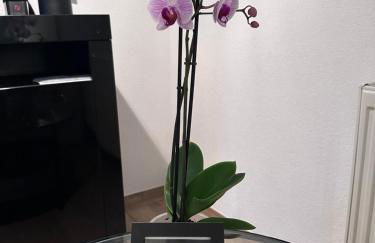 Pendler Montagewohnung Kandern, Lörrach, Basel D,CH, FR - Foto 4