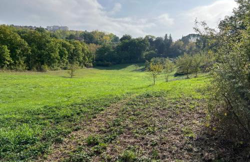 Casale Delle Querce farmhouse in Giove Umbria with pool - Foto 76