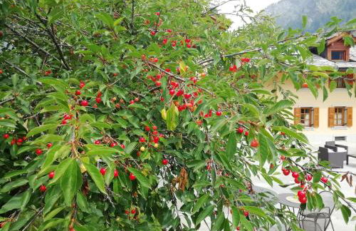 Villa Fridau resort - Foto 71