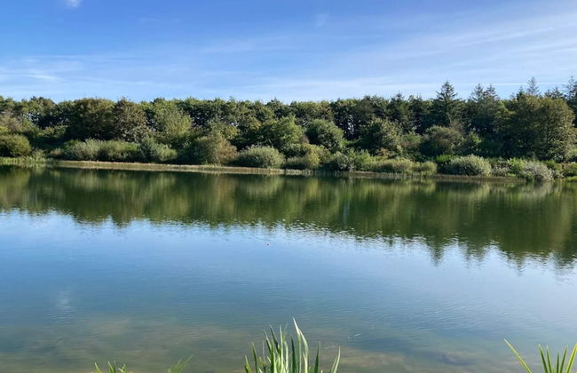 4 Person Holiday Home in Toftlund - Foto 27