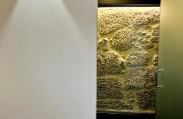 Quinta da Porta - Solar de Vale de Prazeres - Foto 80