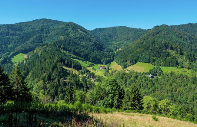 Apartment in Gutenbach With Nearby Forest - Foto 22