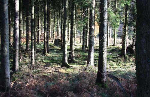 Sunnyview Annexe - Photo 23