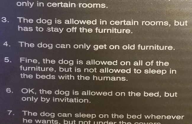 Family Friendly (Pets Welcome) - Foto 32