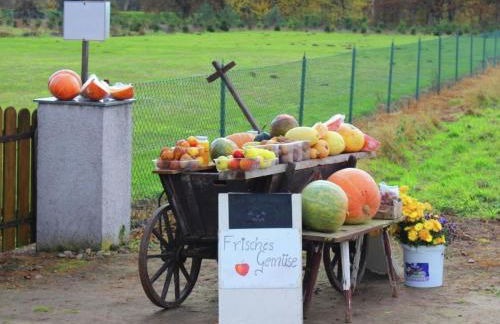 Holiday Home Christine by Interhome - Photo 9