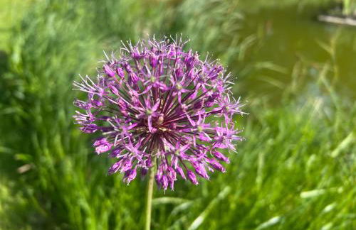 Dreckerhook, oasis to slow down! - Foto 37