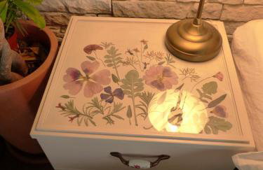 Villa Tropica, total privacy, tropical garden and private pool - Photo 32