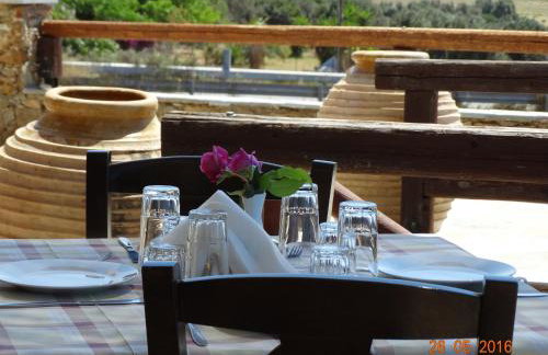 Ktima Nikola - Foto 82