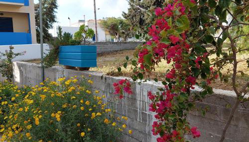 Bahia- apartment by the sea - Foto 5, Garden