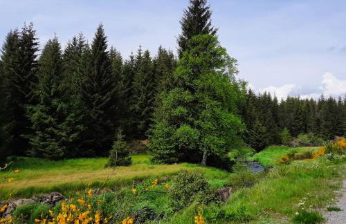 Ferienhaus am Erzgebirgskamm - Foto 24