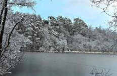 Sjesta al mare, domki z sauną i balią z jacuzzi - Foto 36