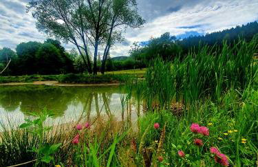 Ośrodek Wczasów Zdrowotnych Rudawka Rymanowska - Foto 34