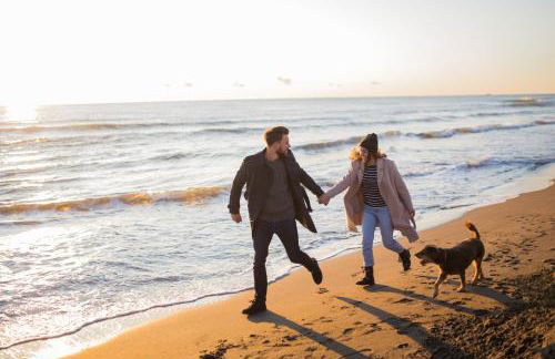 Winkelschiffchen III mit Sauna - Foto 43
