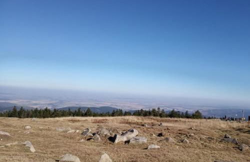 Haus Harzland - Foto 37