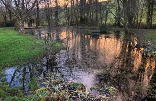 1 Bed in Trehunist oc-chretr - Foto 15