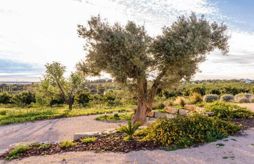 Quinta da Baleeira - Foto 100