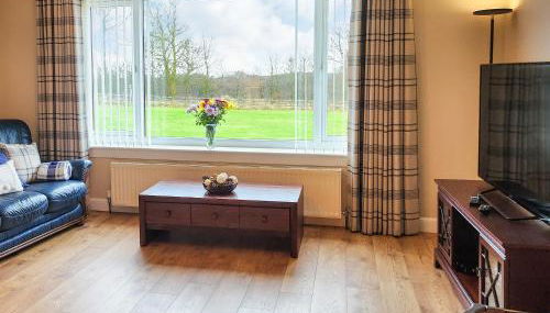 Seven Seasons - Photo 2