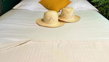 Jungle Suite Jacuzzi Spa Terrasse, Wi-Fi & Parking PV - Photo 4