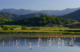 Abbaechelu - Foto 14