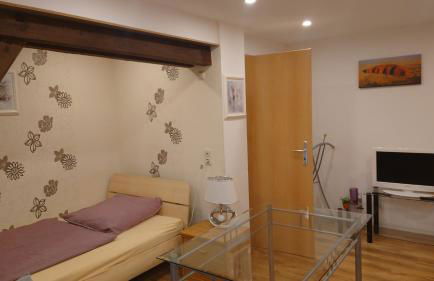 Apartment 2 Zum Kuhstall Heinrichsberg - Magdeburg - Foto 8