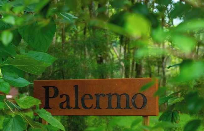 The Grand Forest Jarabacoa - Photo 11