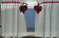 LA CASETTA DELLA NONNA - Photo 71